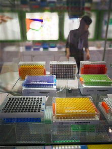 碩華生命科學(xué)等全球酷炫醫(yī)療科技云集上海cmef