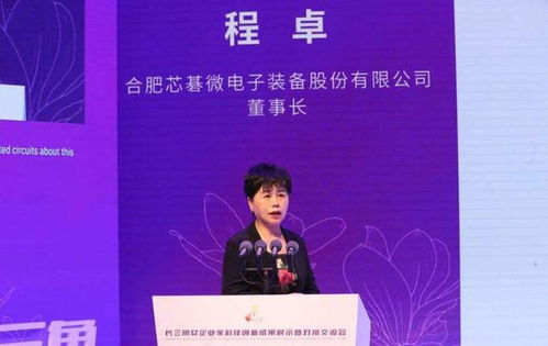 安徽六安女首富程卓發(fā)家史 打造國產(chǎn)光刻機(jī)龍頭企業(yè),身價(jià)24億元