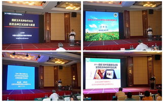 技術推廣服務中心 驅動創新成果轉化的關鍵樞紐