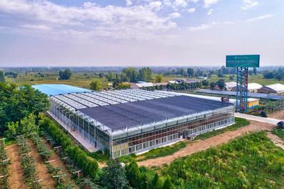 科技創新引領農業發展 西安高新區農業企業榮膺陜西省科技進步二等獎