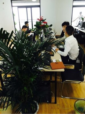 武漢金誠匯譽商務(wù)信息咨詢