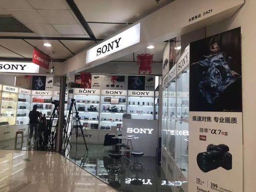 是什么支撐你在辣么熱的夏天出去浪